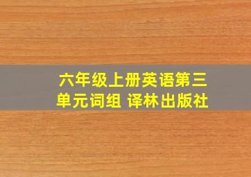 六年级上册英语第三单元词组 译林出版社